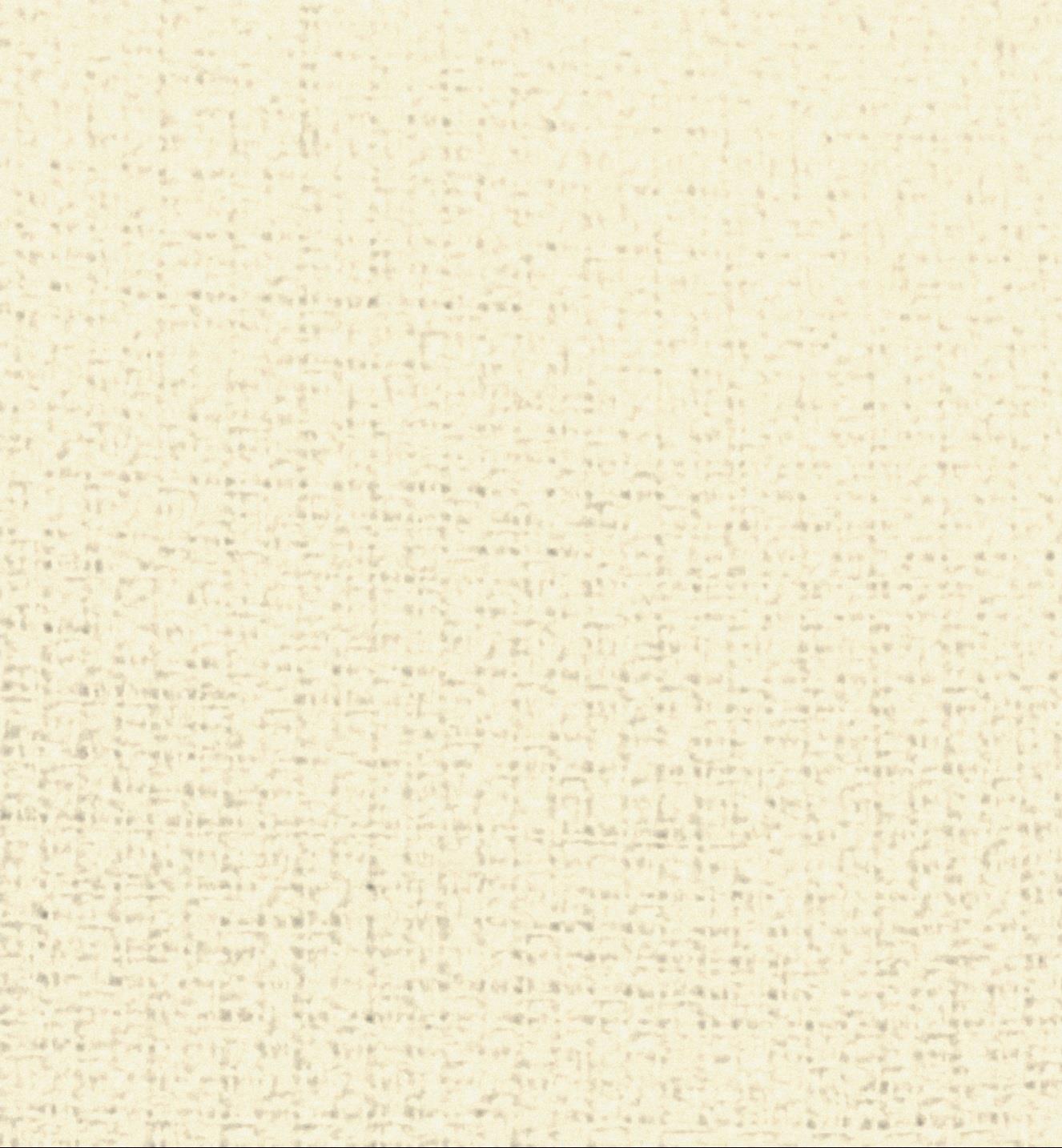 Rental store for 90x156 Havana Crème Cream in Montreal Quebec